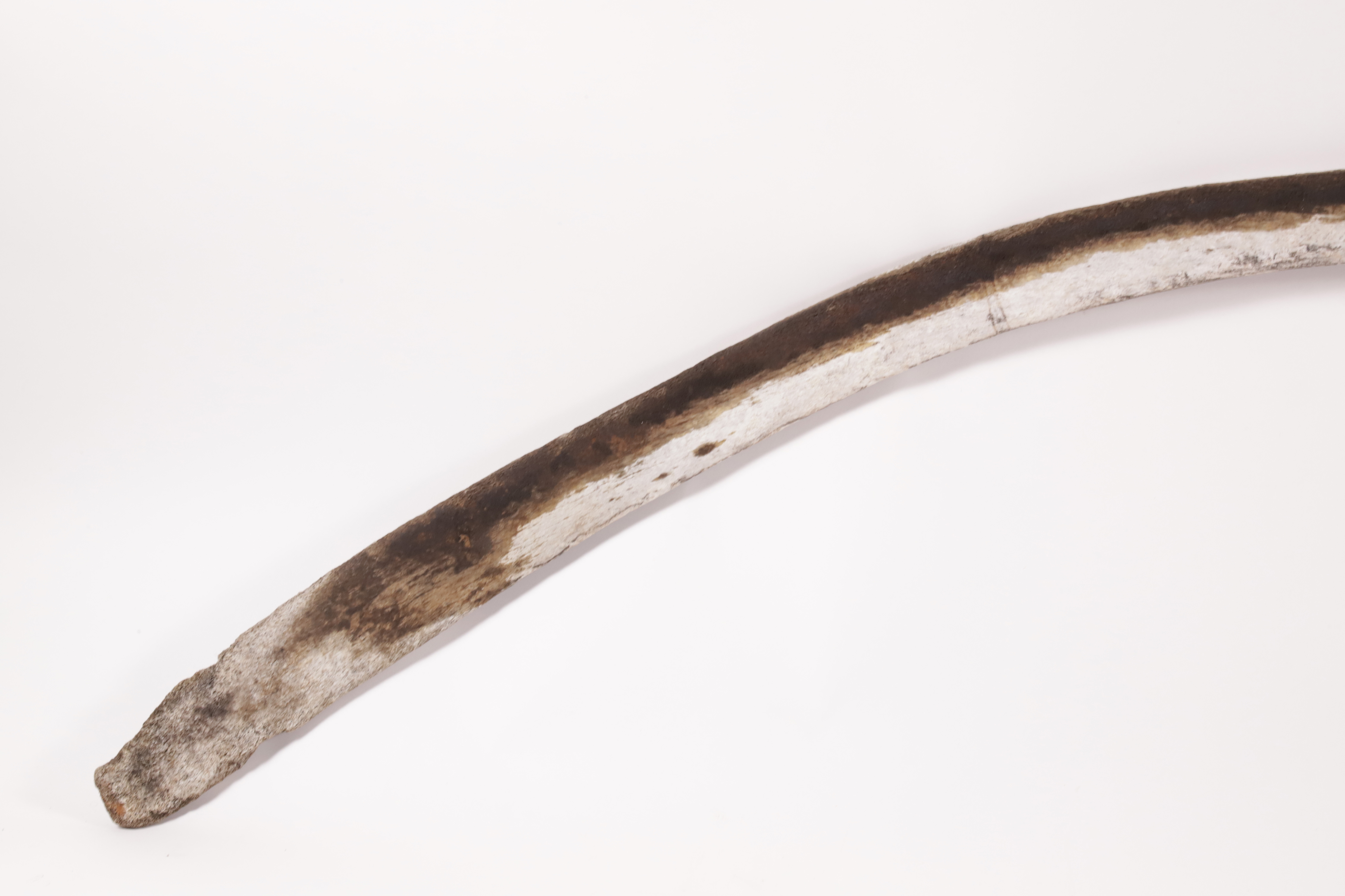  Antique Whale Rib Bone, 19th Century