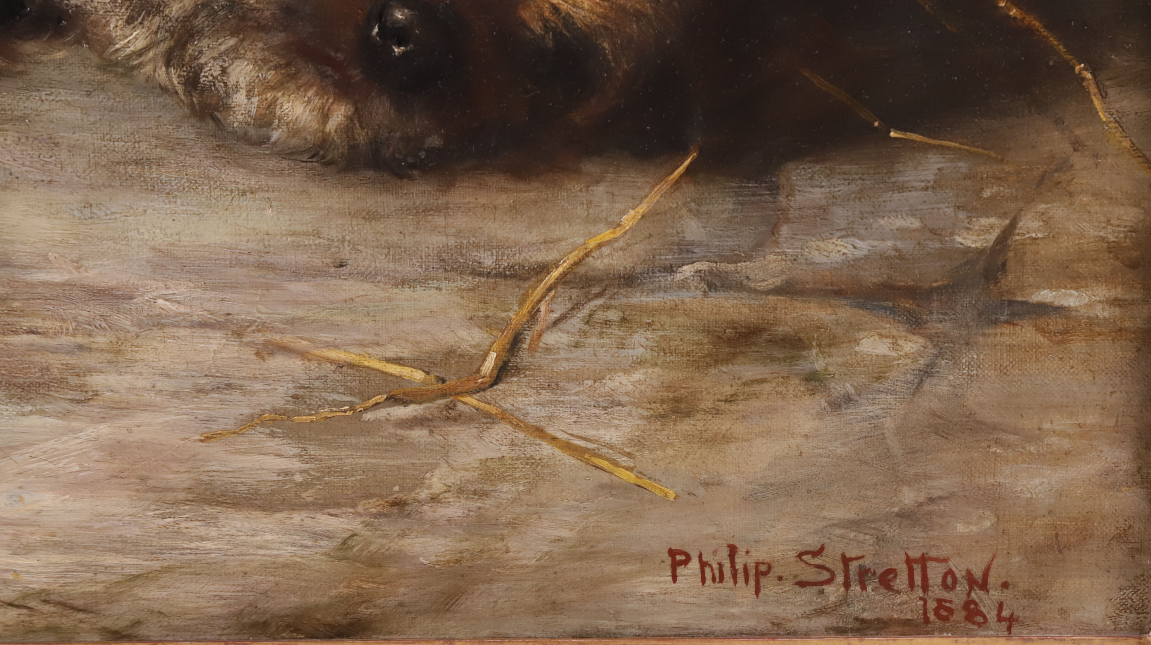 Phillip Eustare Stretton Oil on Canvas “A Dandie Dinmont Terrier”
