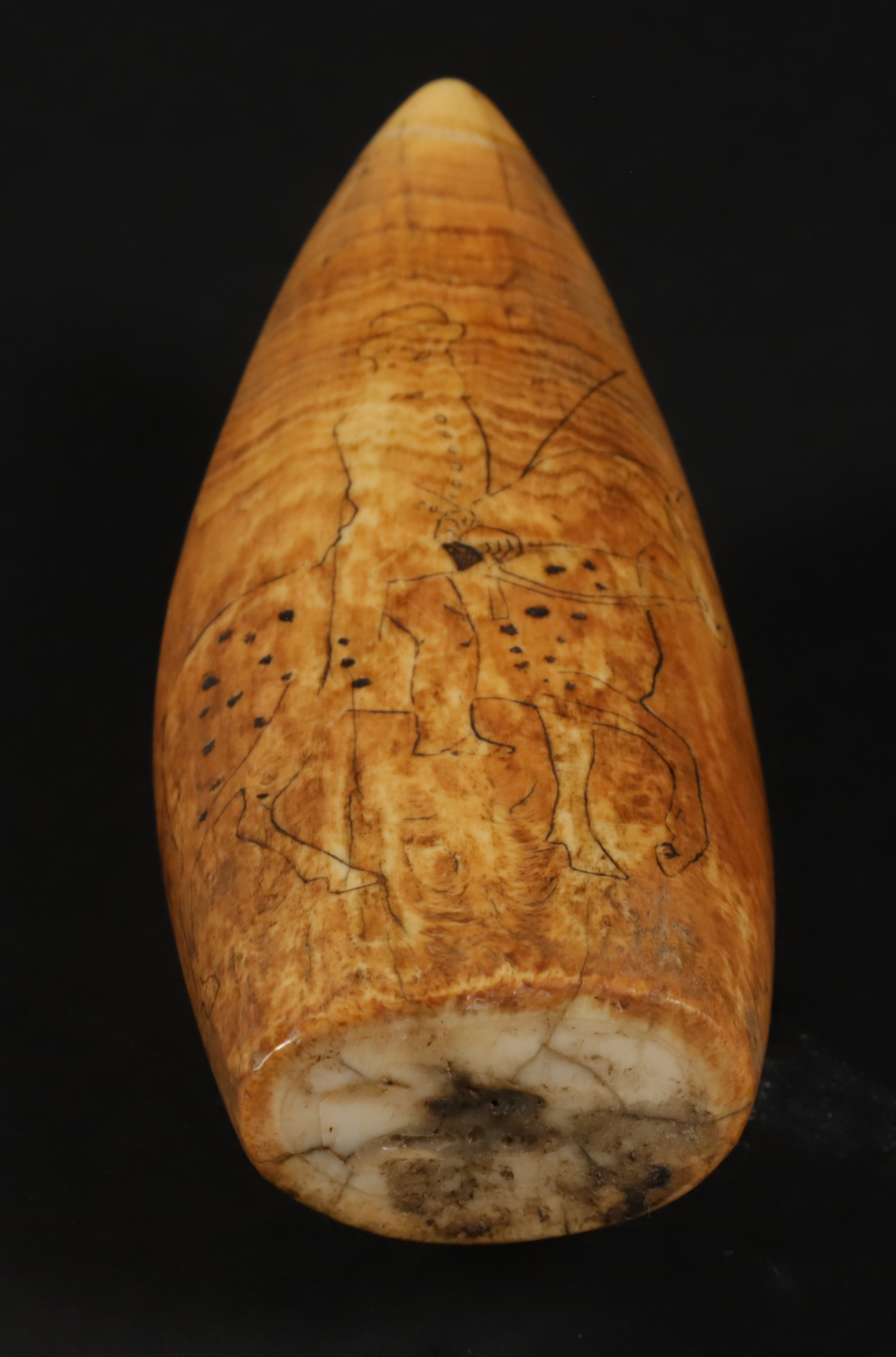 Scrimshaw Sperm Whale Tooth, circa 1830