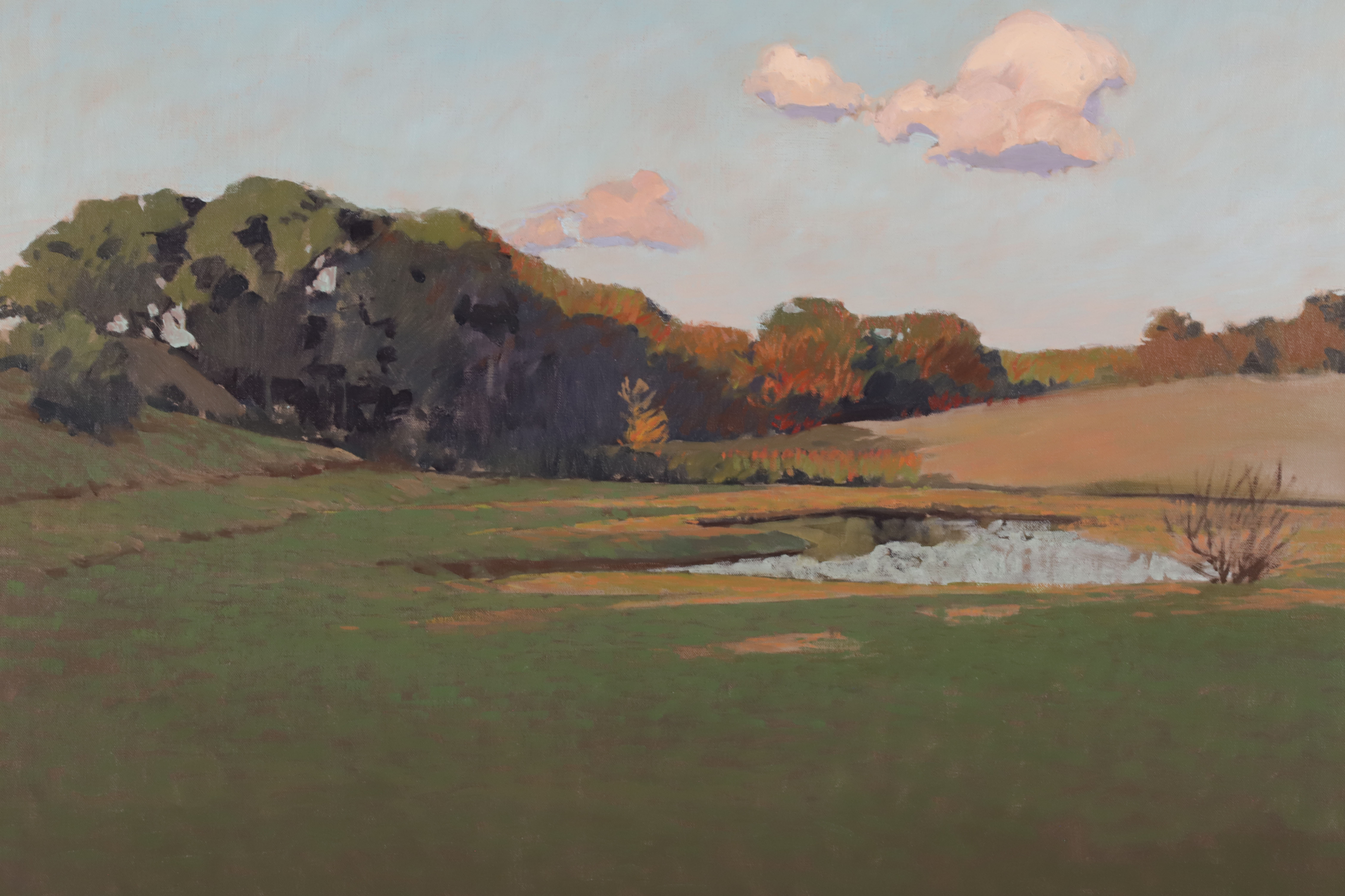 David Bareford Oil on Canvas “Small Pond”
