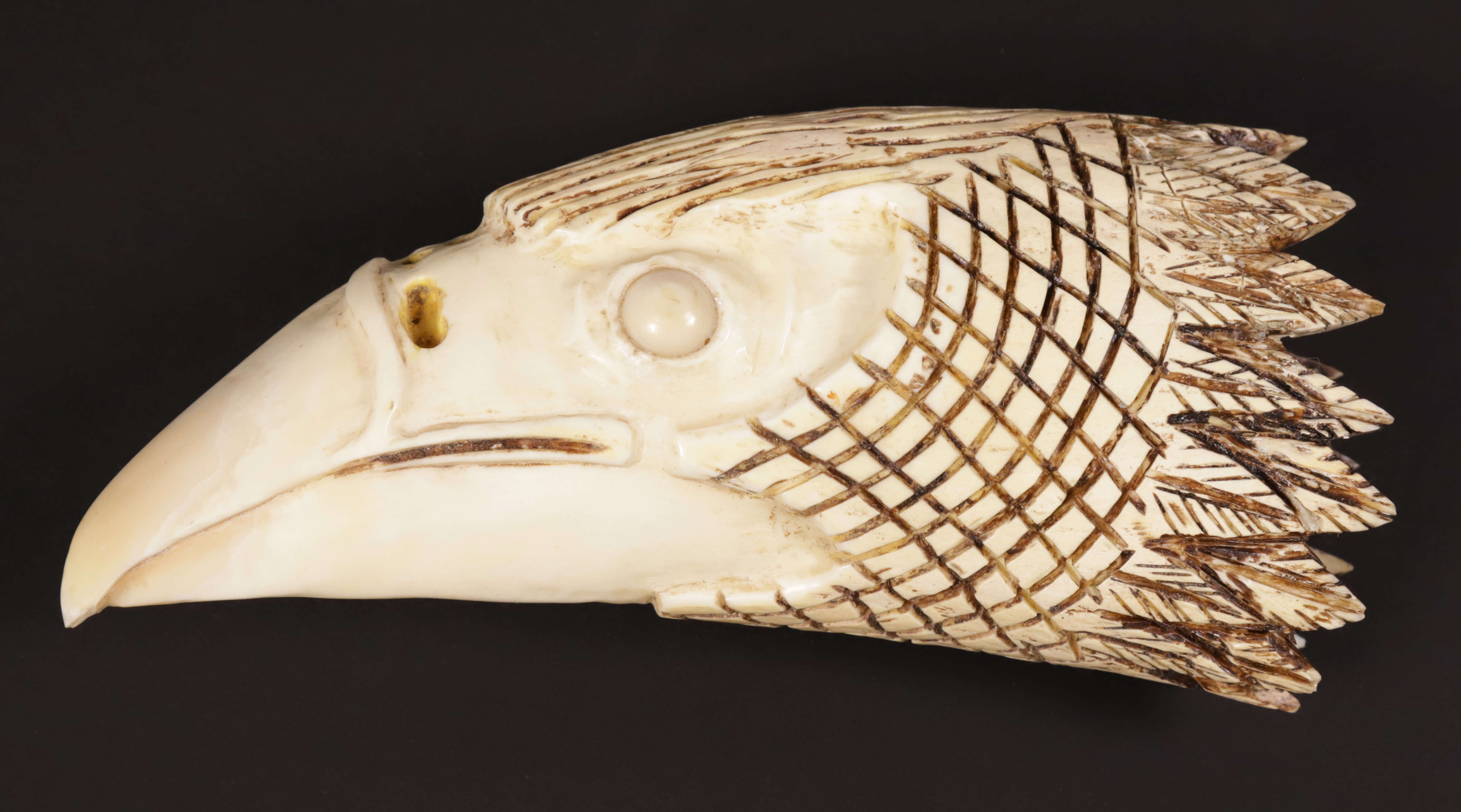 Carved Eagle Head Antique Whale Tooth, 19th Century