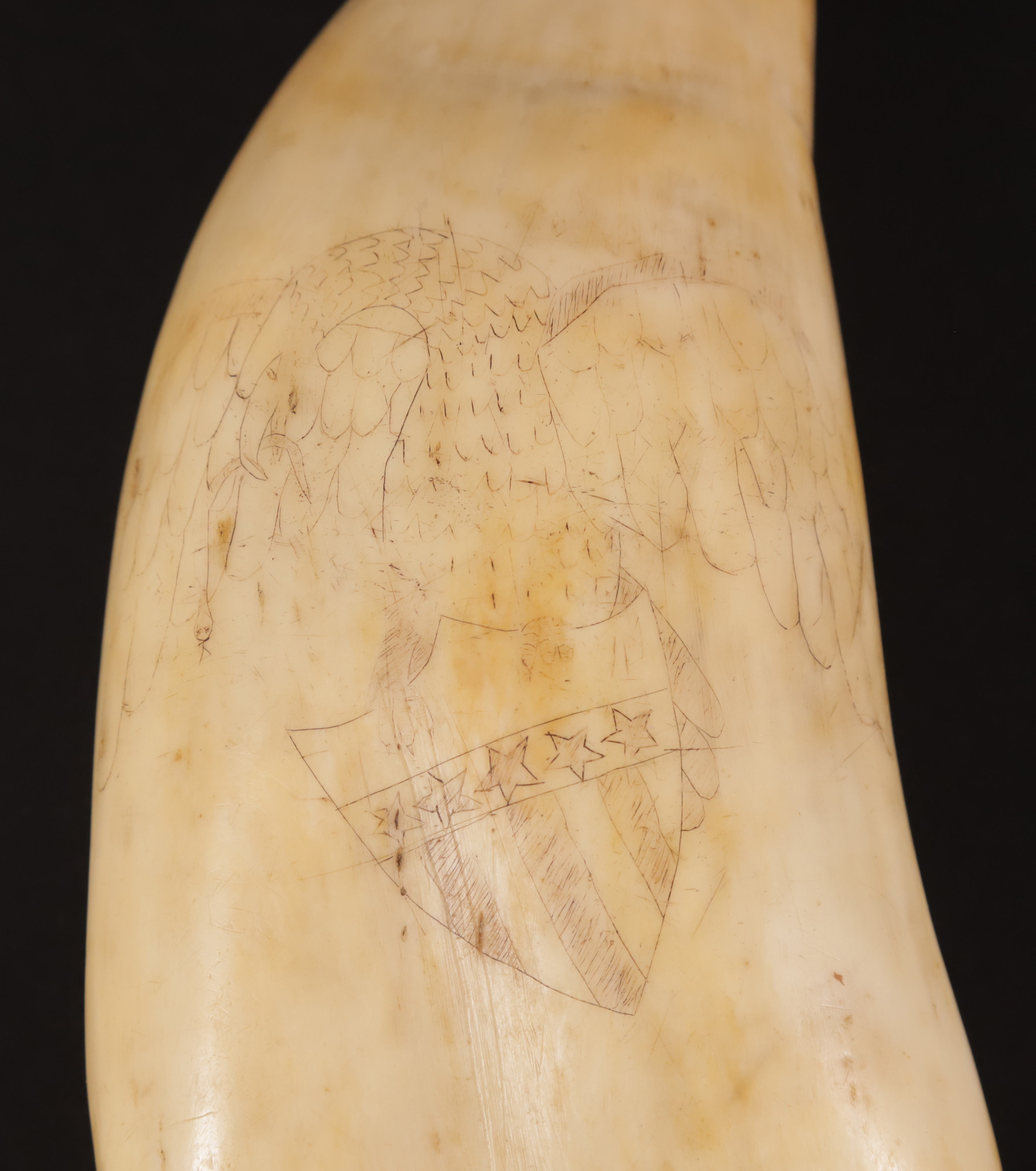 Scrimshawed Antique Whale Tooth, 19th Century