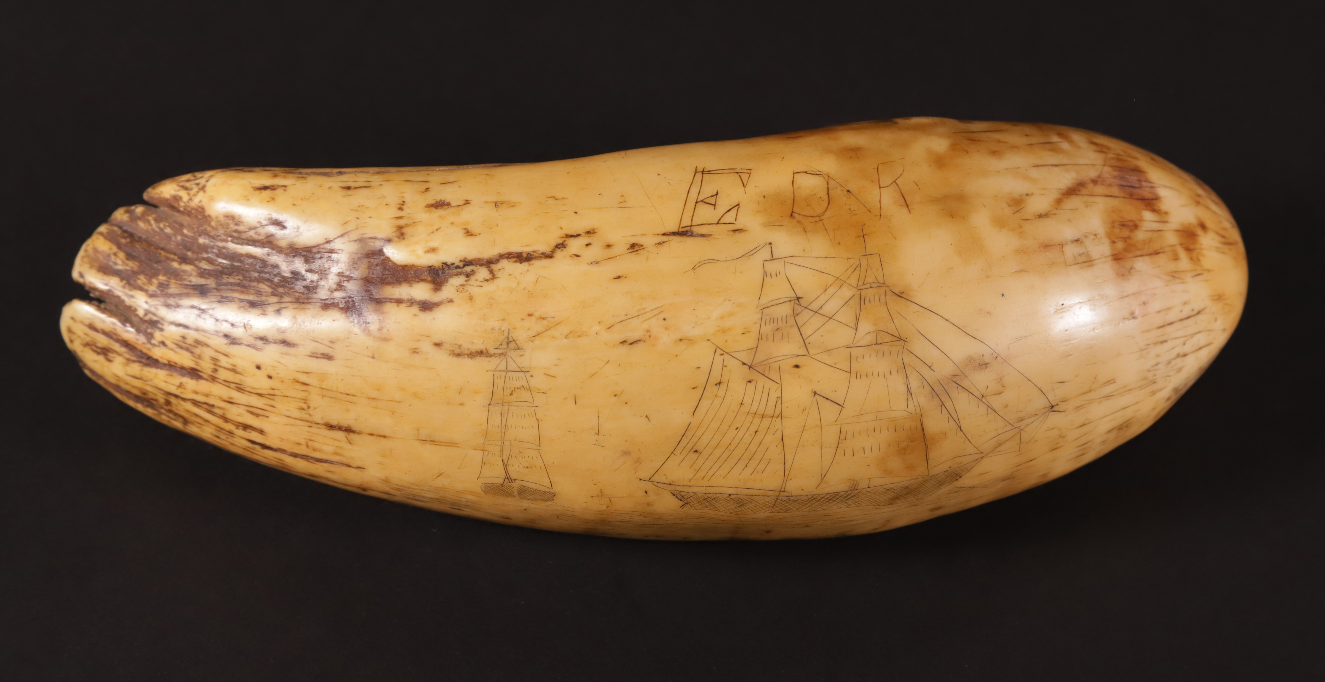 Tambua Antique Sperm Whale Tooth, Circa 1843