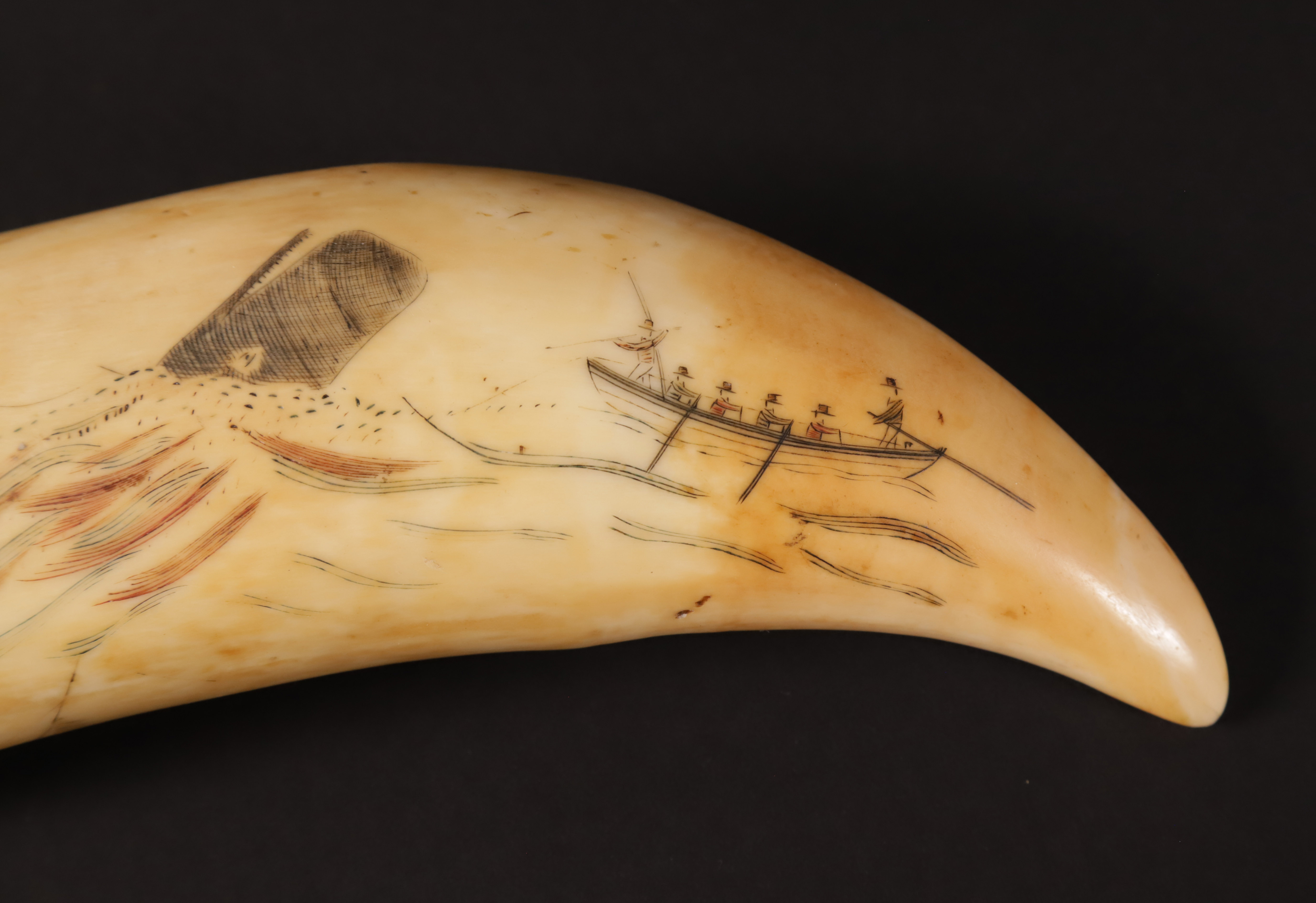 Fine Scrimshawed and Polychromed Antique Sperm Whale Tooth, 19th Century