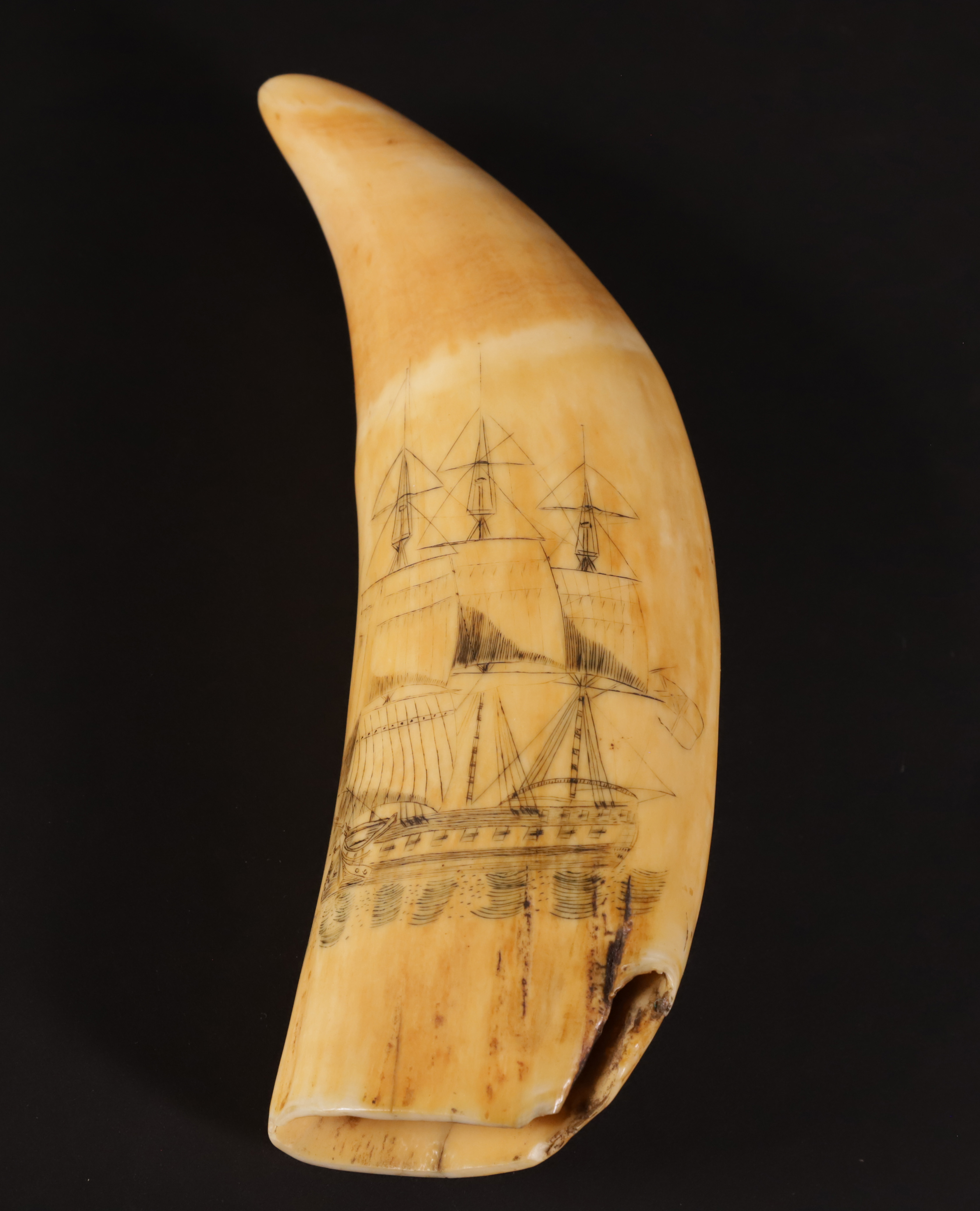 Fine Scrimshawed and Polychromed Antique Sperm Whale Tooth, 19th Century