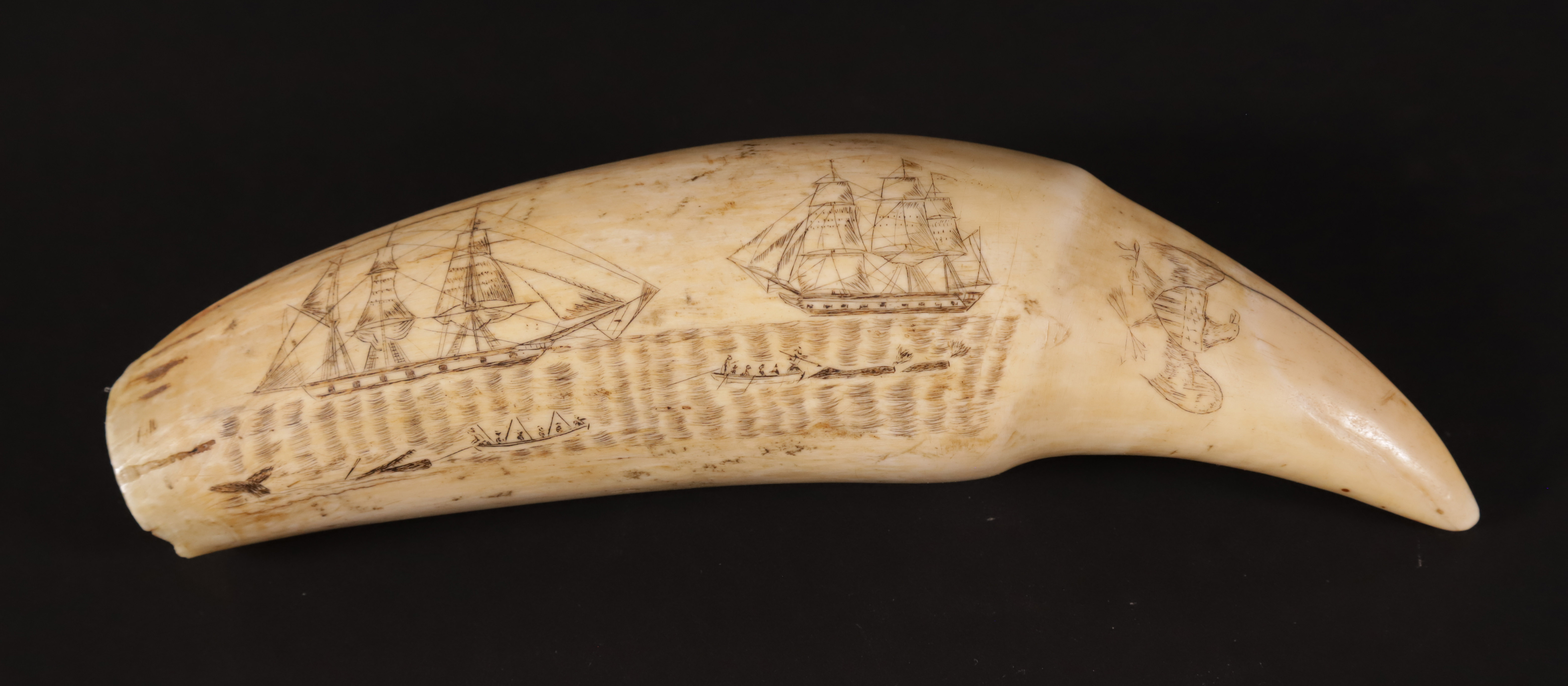 36-4854 Scrimshaw Whaling Scene Tooth A_IMG_8568