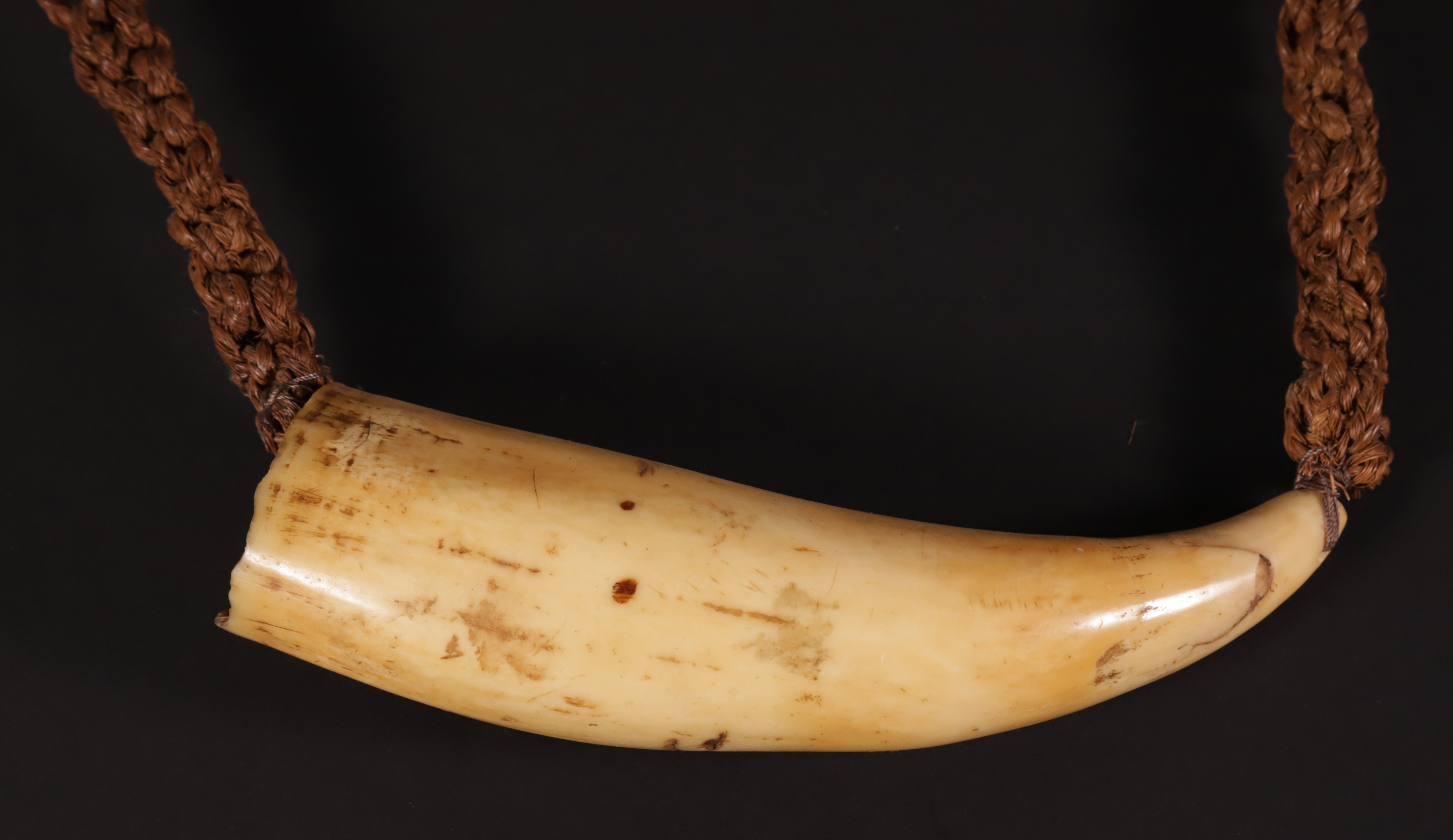 Tambua Antique Sperm Whale Tooth, 19th Century