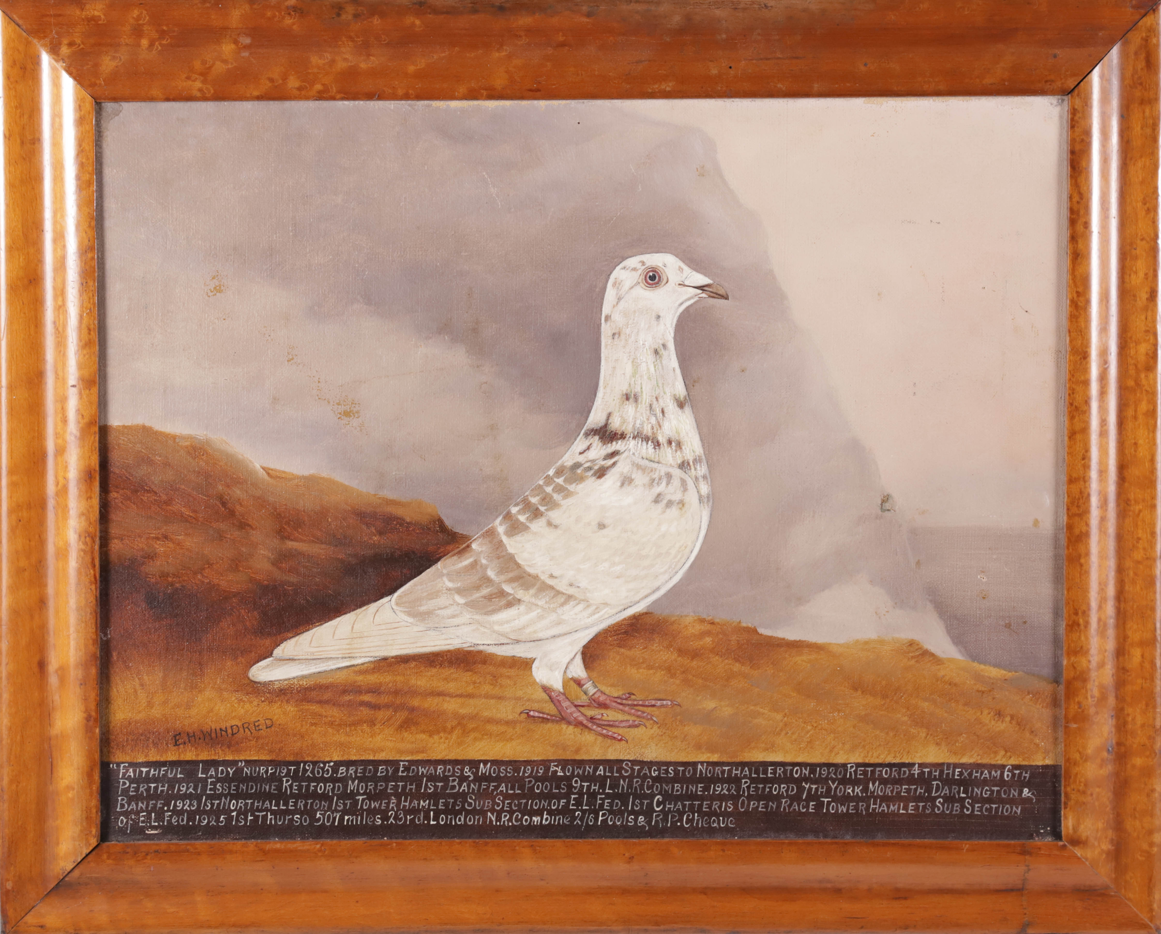 Edward Henry Windred Oil on Canvas "Portrait of the Champion Racing Pigeon Faithful Lady"