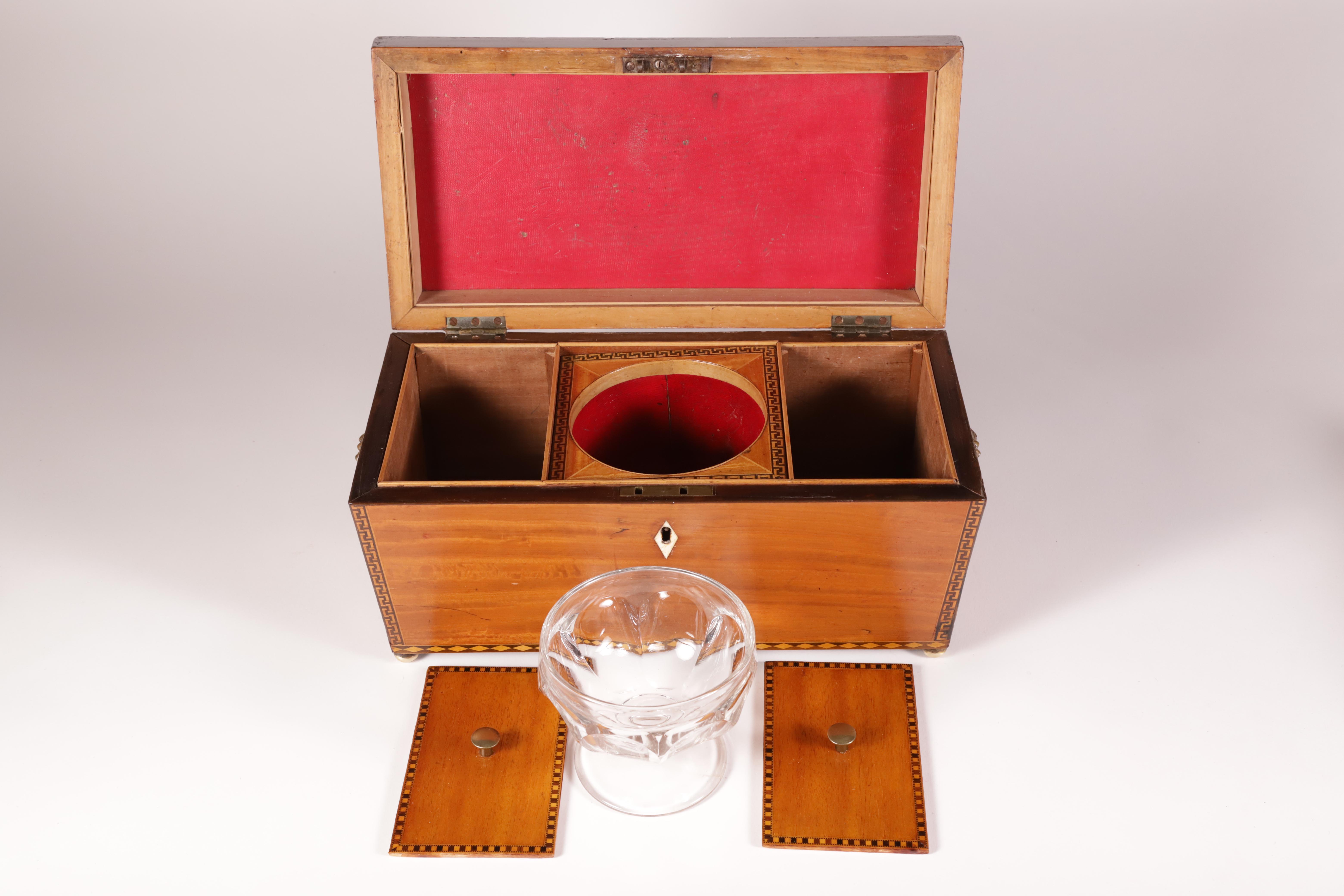 Large Satinwood Double Compartment Tea Caddy, 19th Century